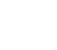 ftd-rci-footer-icon-white-web@2x